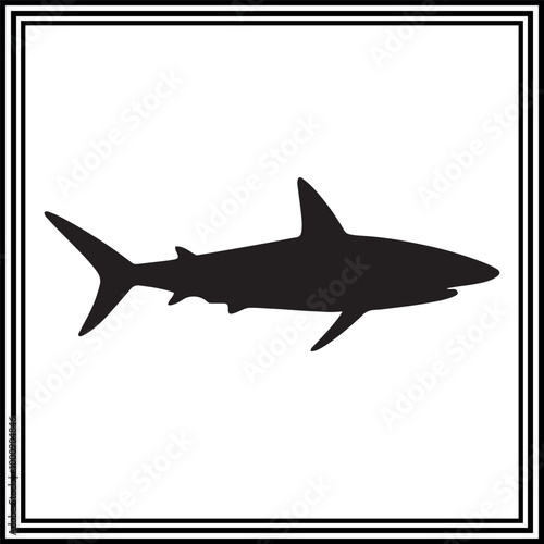 Vector illustration of a Shark