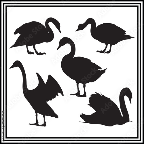 Vector set of decorative swan swan silhouette