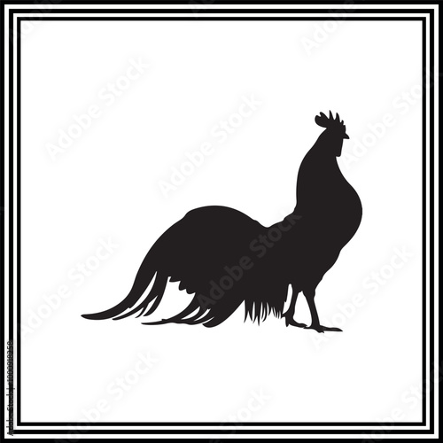 Rooster vector silhouette on white background.