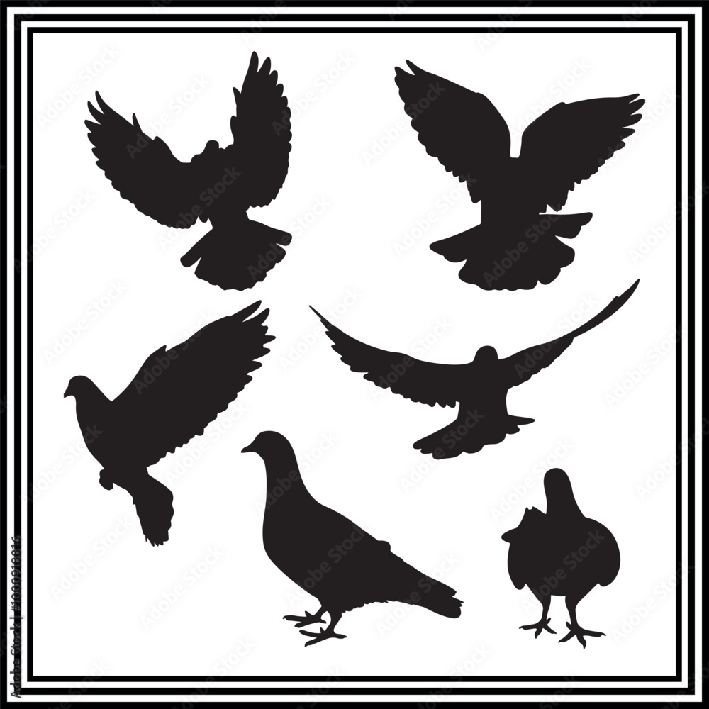 Obraz premium Flying dove vector illustration set