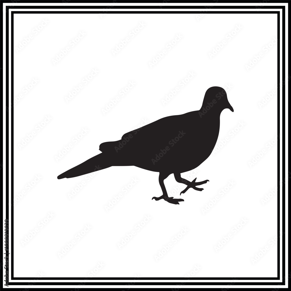 A silhouette of a cute pigeon
A silhouette of a cute pigeon