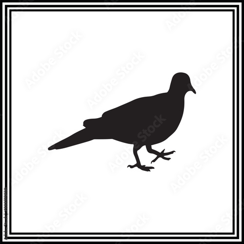 A silhouette of a cute pigeon

