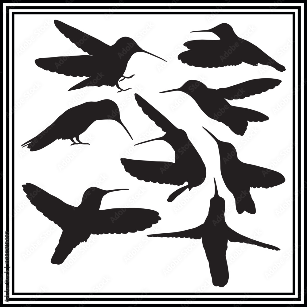 Silhouette set of flying hummingbirds isolated on white background
Silhouette set of flying hummingbirds isolated on white background