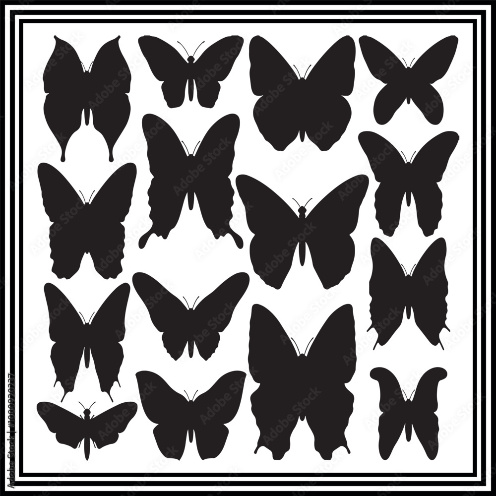 Big collection of butterfly silhouette. Big collection of butterfly silhouette.