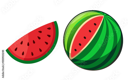 watermelon vector illustration.