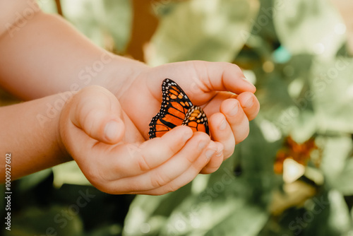 Child's hands holding orange monarch butterfly photo