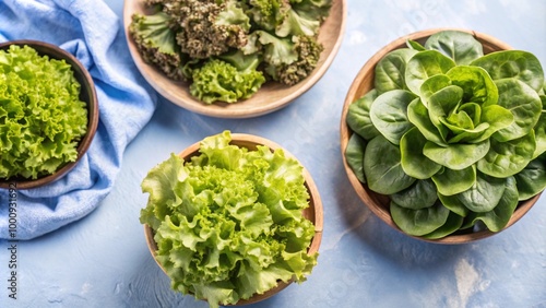 Set of Green Lettuce with leaves isolated on background, Flat lay view of Fresh salad vegetables, healthy with organic food.