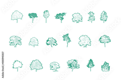 Minimal style cad tree line drawing, Side view, set of graphics trees elements outline symbol for architecture and landscape design drawing. Vector illustration in stroke fill in white. Tropical