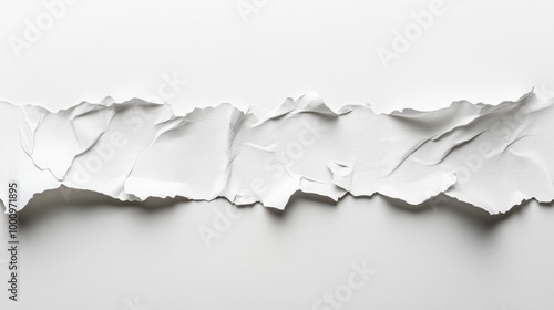 Ripped Paper Torn Sheet