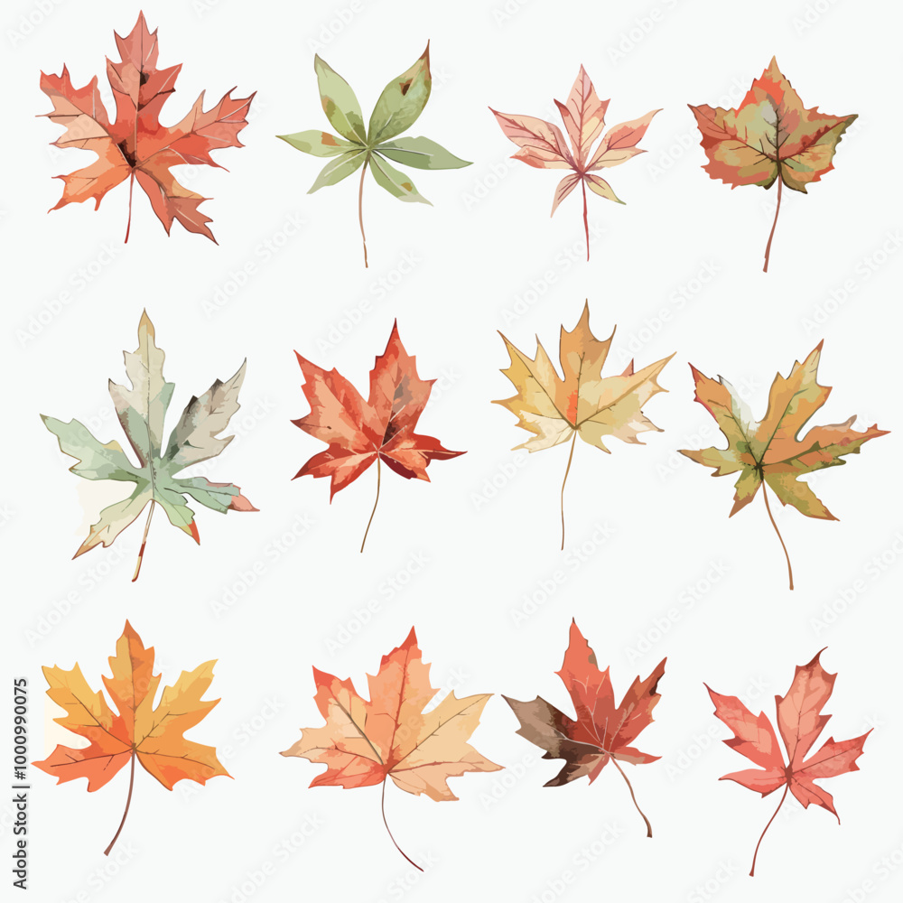 Fototapeta premium Various fallen leaves, autumn fruits, autumn leaves, autumn, fallen leaves