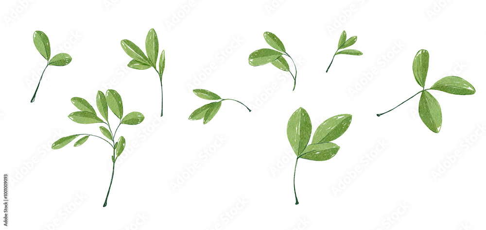 Fototapeta premium Watercolor Diverse Collection of Green Leaves that is Perfect for Inspiration in NatureThemed Designs