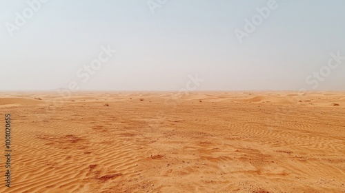 Expansive desert landscape under a clear sky