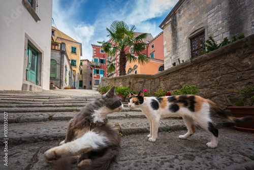 old town labin photo