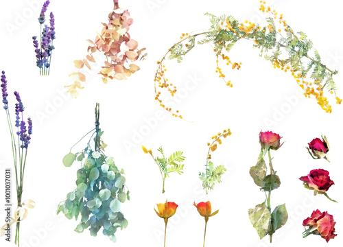 ドライフラワーのイラスト素材セット2（ミモザ、ユーカリ、ラベンダー他）