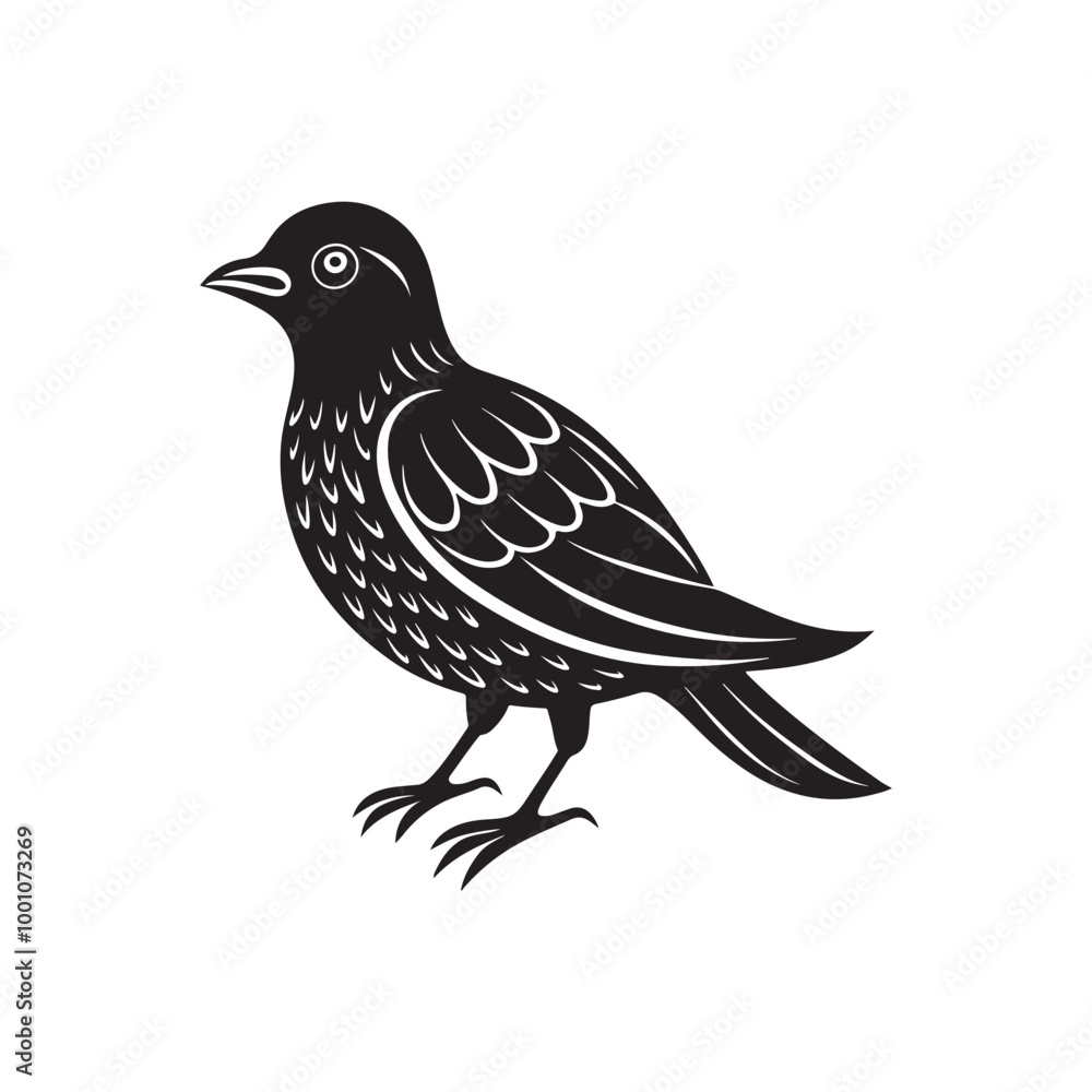 bird silhouette vector, black and white silhouette, vector and illustration bird silhouette vector, black and white silhouette, vector and illustration