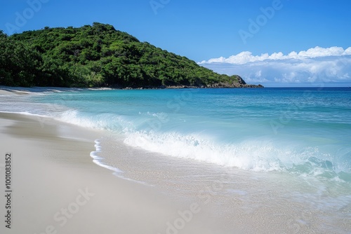 Stunning tropical beach with crystal clear waters and lush vegetation