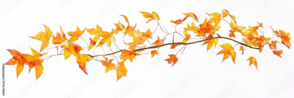 Vibrant autumn leaves on a tree branch Vibrant autumn leaves on a tree branch