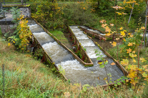 Fish pass or salmon ladder.  man made fish ladder in the streaming water
 photo