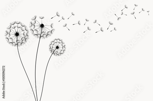 Flying dandelion seeds, vector icon. Vector isolated decoration element from scattered silhouettes.