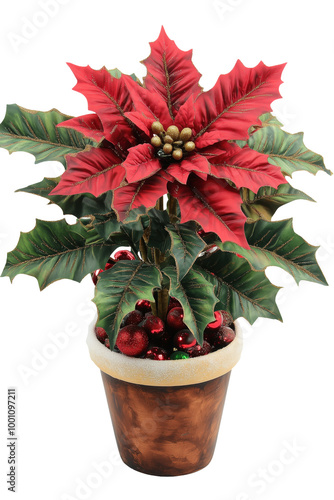 Christmas flower with pot transparent background