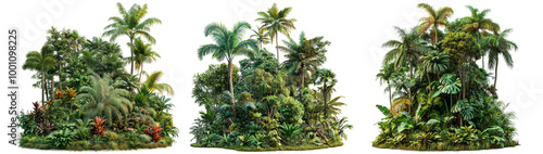 Wallpaper Mural Lush Tropical Jungle Landscape Illustration Isolated on Transparent Background Torontodigital.ca