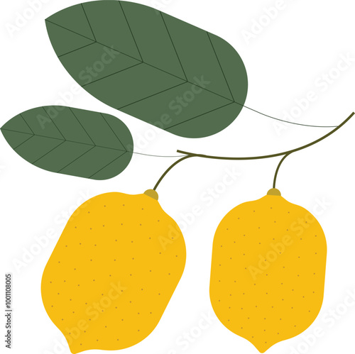 Lemon vector illustration