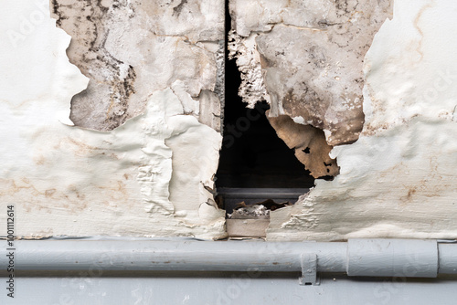 Ceiling panels with fungus outside house from water pipes damaged or rainy leaked. Office building or house problem for house service.