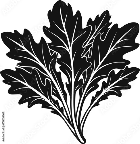 arugula leaves vector silhouette