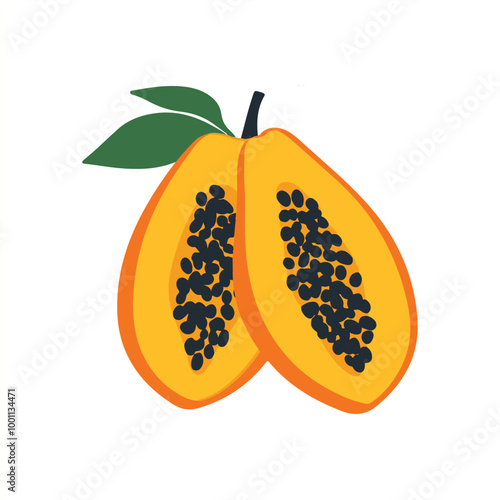 vector of illustration of papaya
