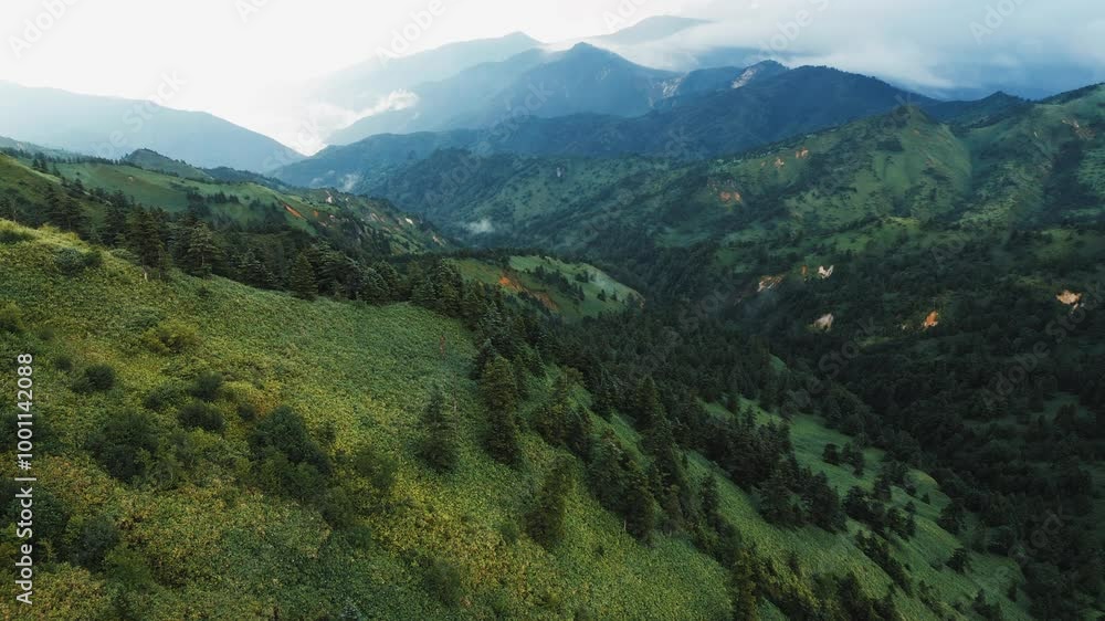 夏の山の風景 夏の山の風景