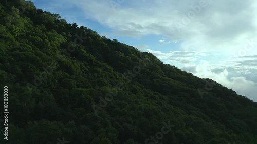 Wallpaper Mural 夏の山の風景 Torontodigital.ca