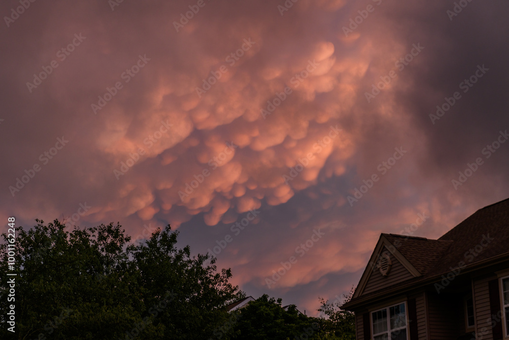 Striking sunset image shows pink clouds illuminated by the sun against a blue sky, New Jersey, USA Striking sunset image shows pink clouds illuminated by the sun against a blue sky, New Jersey, USA