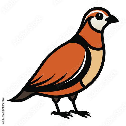 Solid color Northern Bobwhite animal vector design