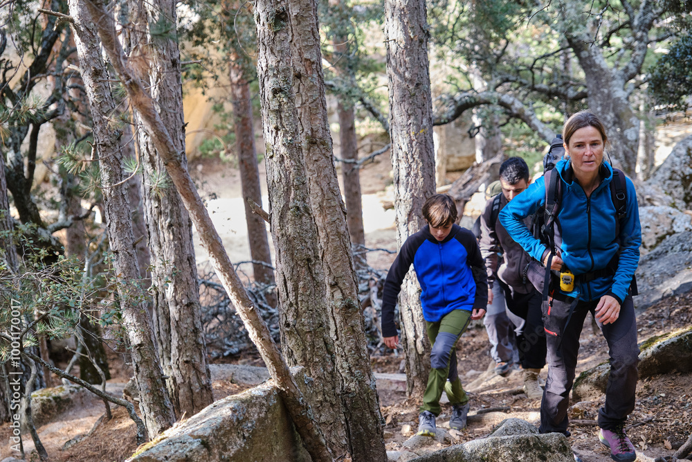 Group of hikers walking along a path in the forest. Group of hikers walking along a path in the forest.
