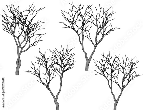 Vector sketch illustration silhouette design of tree plant full of branches without leaves