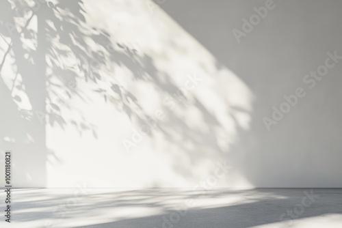 Soft sunlight casts delicate leaf shadows on a clean, light-colored wall, creating a serene and minimalist atmosphere