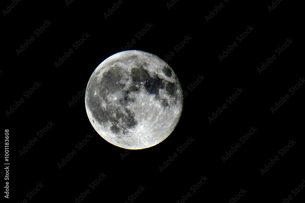Naklejka premium Luna