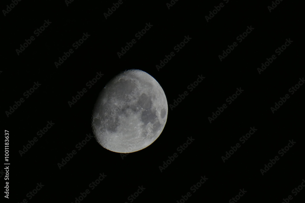 Naklejka premium Luna