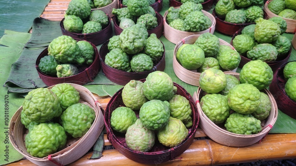 Obraz premium Close up photo of unripe kaffir lime or makrut lime fruit (Citrus hystrix) that still young and green. It has many uses, can make food, produce herbal medicine, health products.