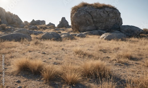 A rocky, grassy plain with a large boulder in the background photo