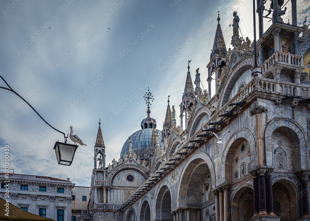 Fototapeta premium Piazza San Marco, Venedig