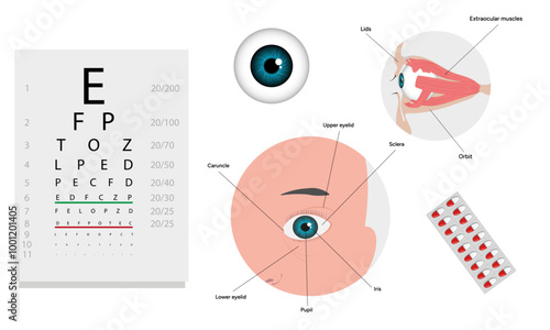 Ophthalmology oculist set vision correction eye anatomy with exam table 