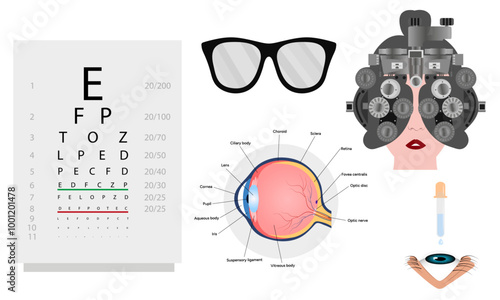 Ophthalmology oculist set vision correction eye anatomy with exam table 