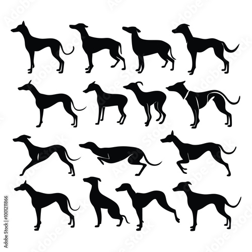 A versatile collection of dog silhouettes in vector format. Ideal for logos, prints, and design projects that feature various canine breeds in minimalist and elegant black and white outlines.