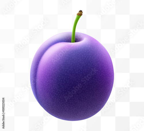 Juicy sweet plum isolated on transparent background. Purple plum fruits, prunes, natural berries, date fruit, fresh organic food. Realistic vector 3d illustration