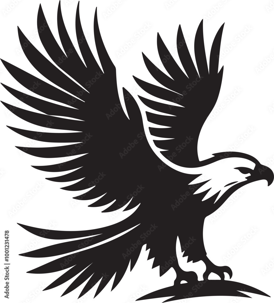 Fototapeta premium African Fish Eagle black and white vector design