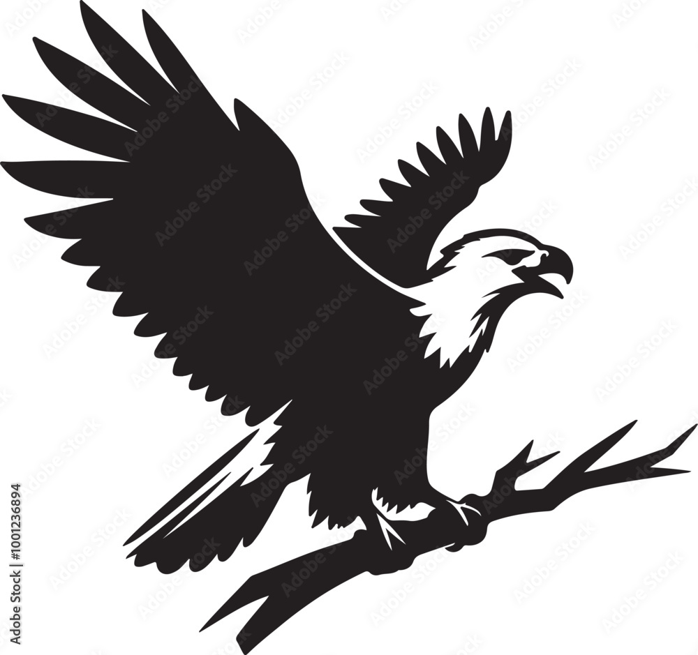 Obraz premium African Fish Eagle black and white vector design