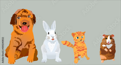 Pets set - cute home animal pets - Puppy dog, rabbit, kitten and hamster. Realistic style vector illustration Isolated on white background. 