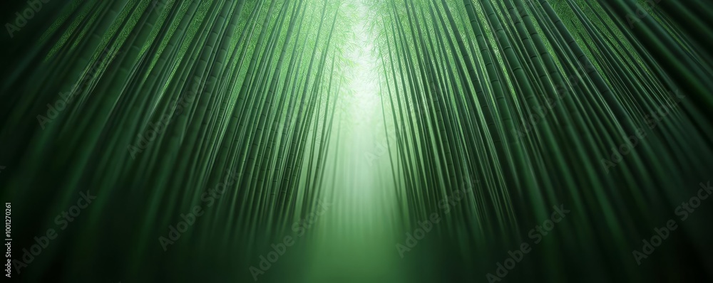 Foggy bamboo forest, drifting mist with soft green light, 3D illustration Foggy bamboo forest, drifting mist with soft green light, 3D illustration