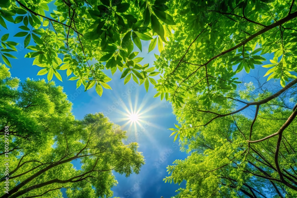 Obraz premium Vibrant green leafy branches stretching across a clear blue sky, creating a natural and serene landscape background